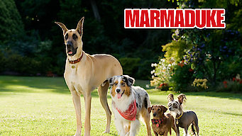 Marmaduke