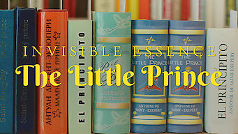 Invisible Essence: The Little Prince